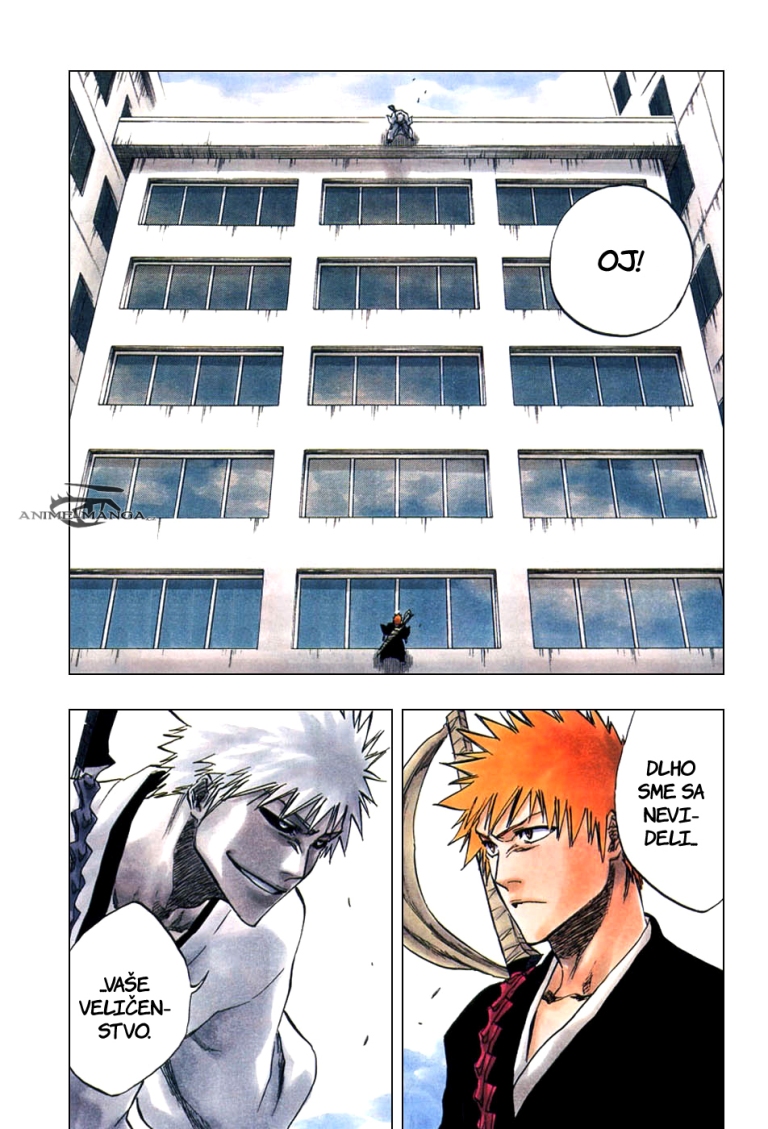 Bleach 218 01 kopie.jpg